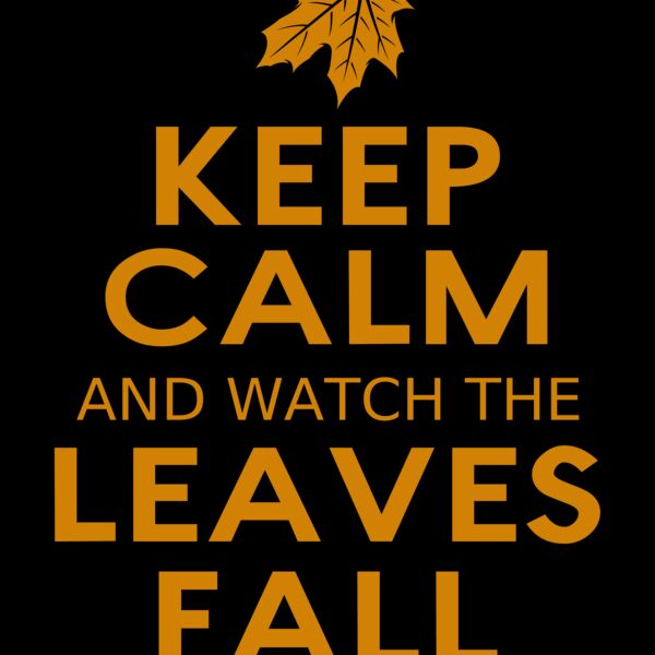 Fall Season 04 Thumbnail